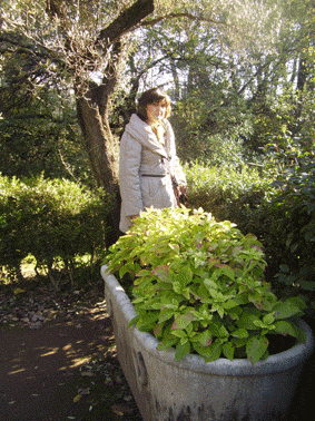 20081218114604-p8120118.gif